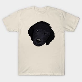 Poodle T-Shirt